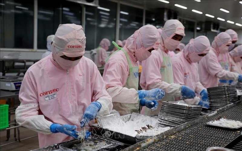 Truyền thông Lào đánh giá cao kinh nghiệm của Việt Nam trong phát triển kinh tế