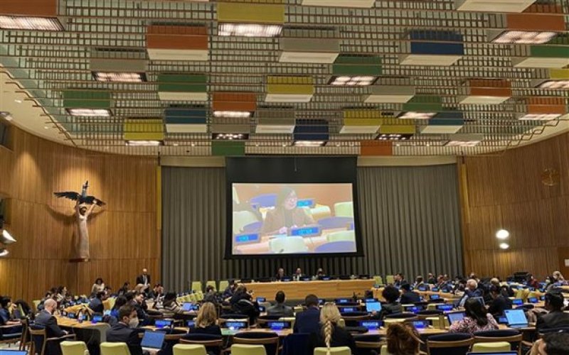 Việt Nam ủng hộ việc mở rộng Hội đồng Bảo an Liên hợp quốc