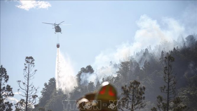 Argentina: Cháy lan rộng mất kiểm soát tại công viên quốc gia Los Alerces