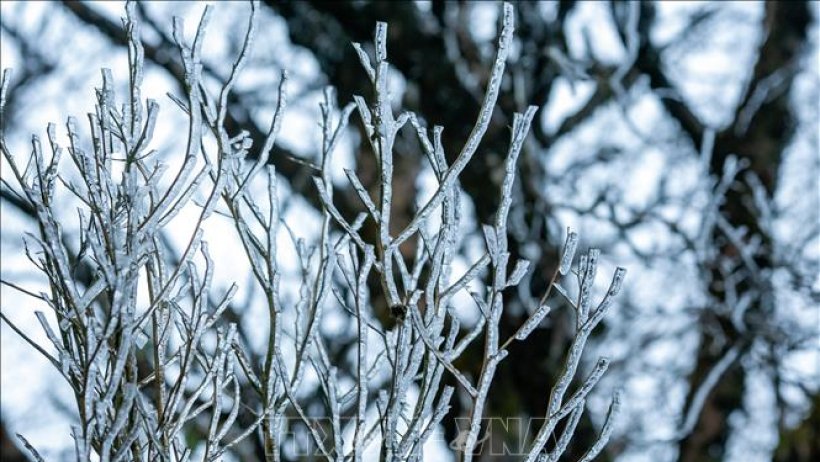 Bắc Bộ tiếp tục rét hại, Đông Nam Bộ đề phòng triều cường