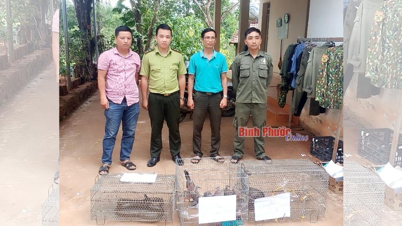 Bàn giao nhiều cá thể động vật hoang dã cho Vườn quốc gia Bù Gia Mập