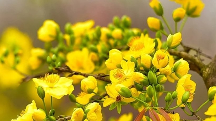 Bản lĩnh và niềm tin