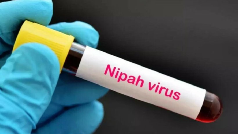 Bangladesh: Ca tử vong đầu tiên do virus Nipah sau khi uống nhựa chà là
