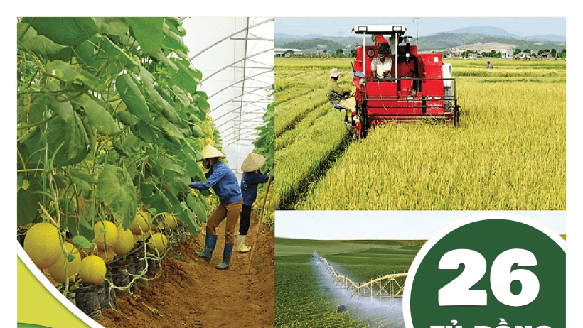 Đến năm 2030, dự kiến xuất khẩu nông sản đạt hơn 26 tỷ USD