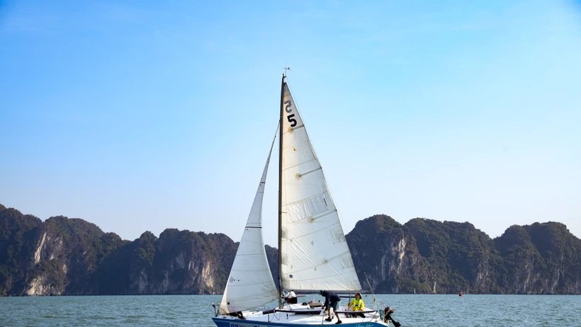Độc đáo trải nghiệm đua thuyền buồm tại vịnh Hạ Long
