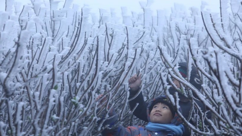 Du khách đổ xô về đỉnh núi Mẫu Sơn chiêm ngưỡng băng giá