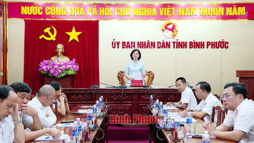 Giải Việt dã leo núi “Chinh phục đỉnh cao Bà Rá” năm 2025 sẽ nâng cấp lên giải quốc tế