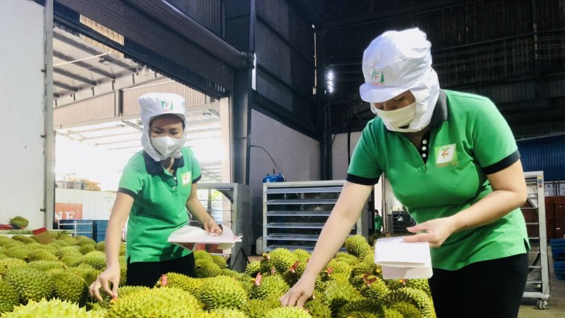 Ngành rau quả Việt nhiều kỳ vọng khởi sắc