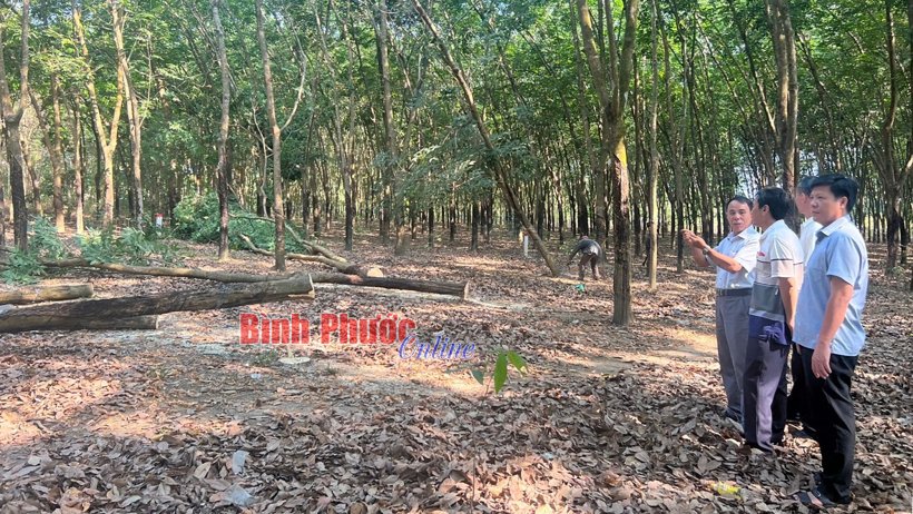 Những “cái nhất” của Tiến Thành