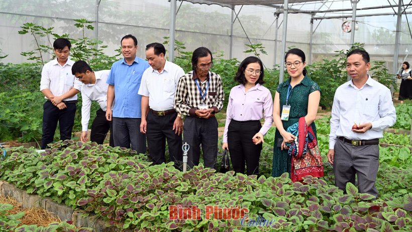 Tập huấn sản xuất, chứng nhận, chế biến và thương mại thực phẩm hữu cơ Australia - Việt Nam