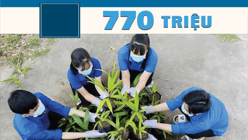 Trong 3 năm, cả nước trồng gần 770 triệu cây xanh