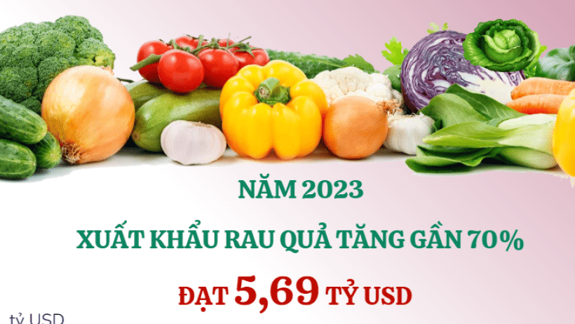 Xuất khẩu rau quả năm 2023 tăng gần 70%, đạt 5,69 tỷ USD