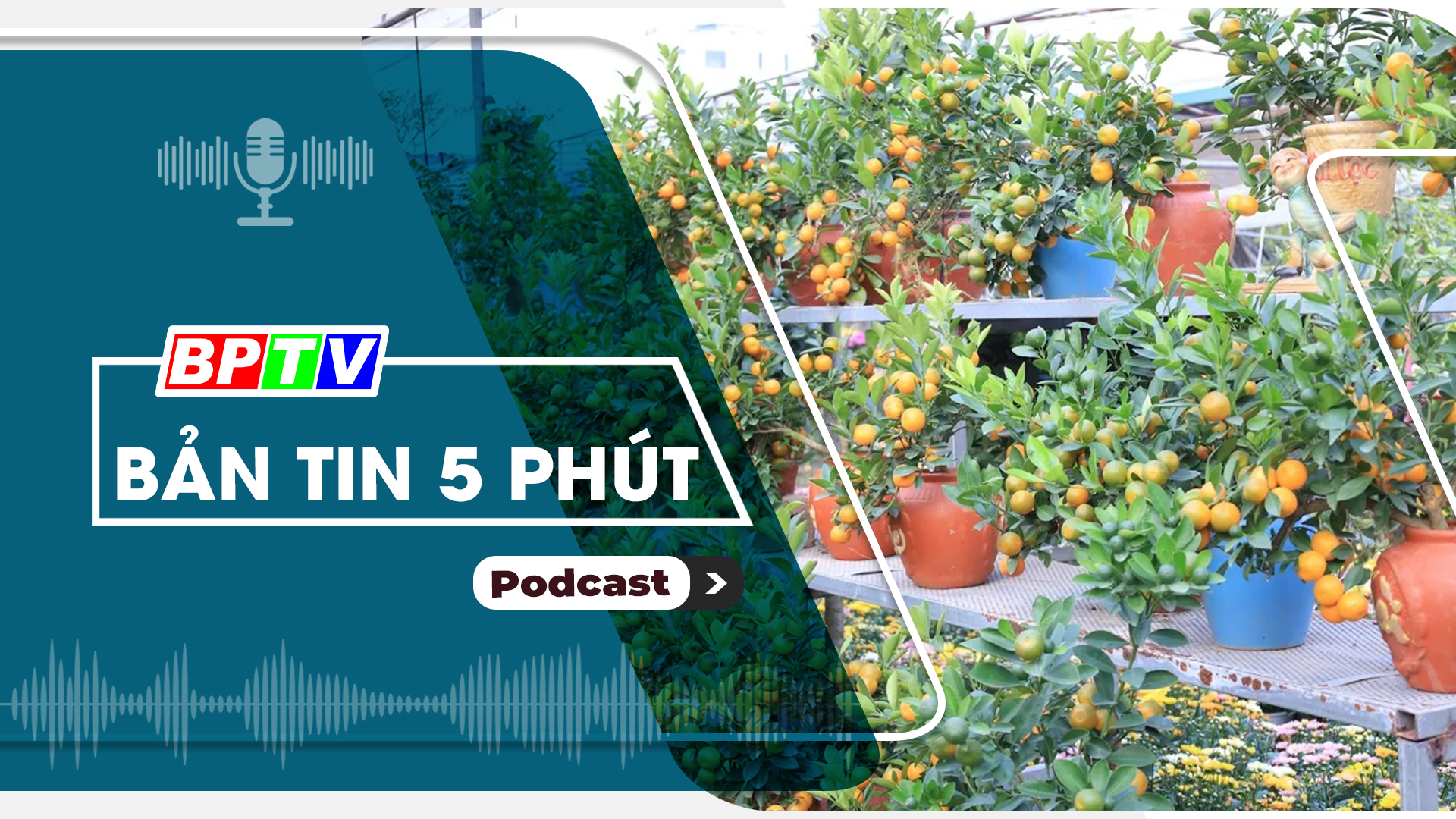 5 phút sáng nay 27-1-2025