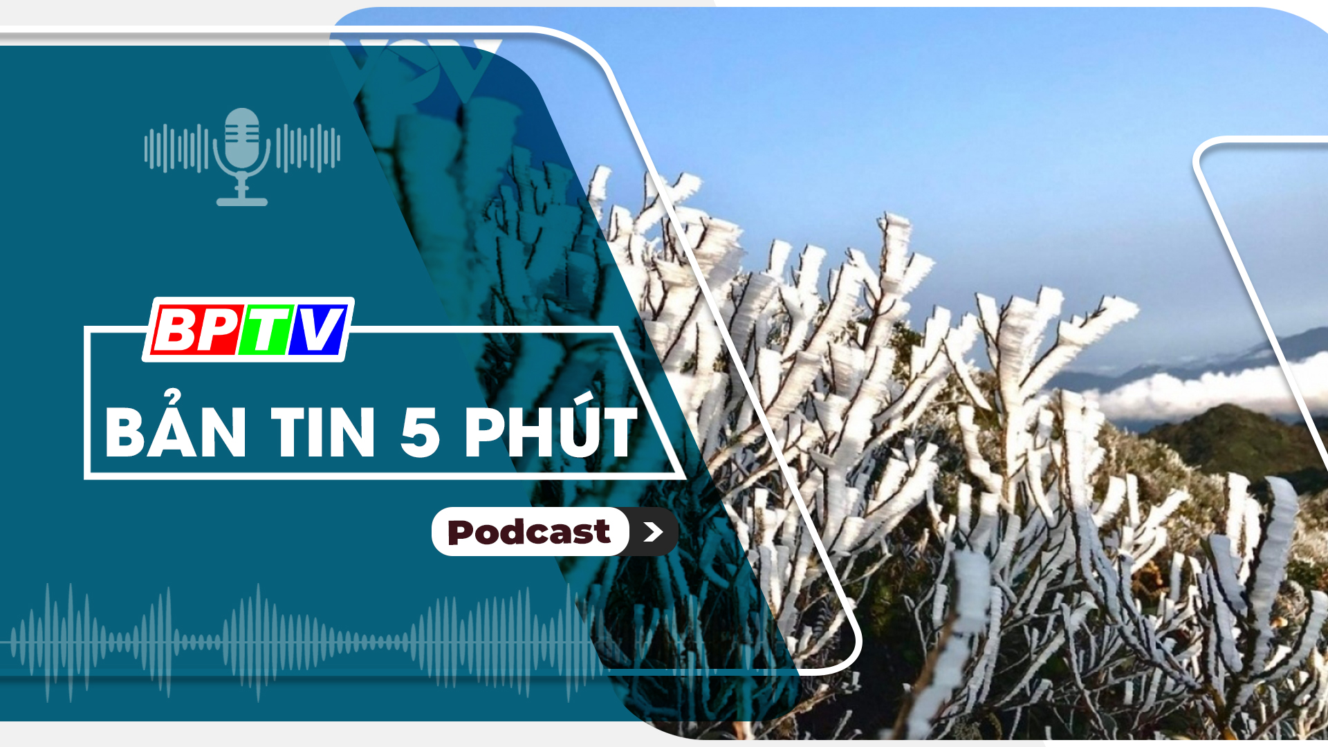 5 phút tối nay 15-1-2025