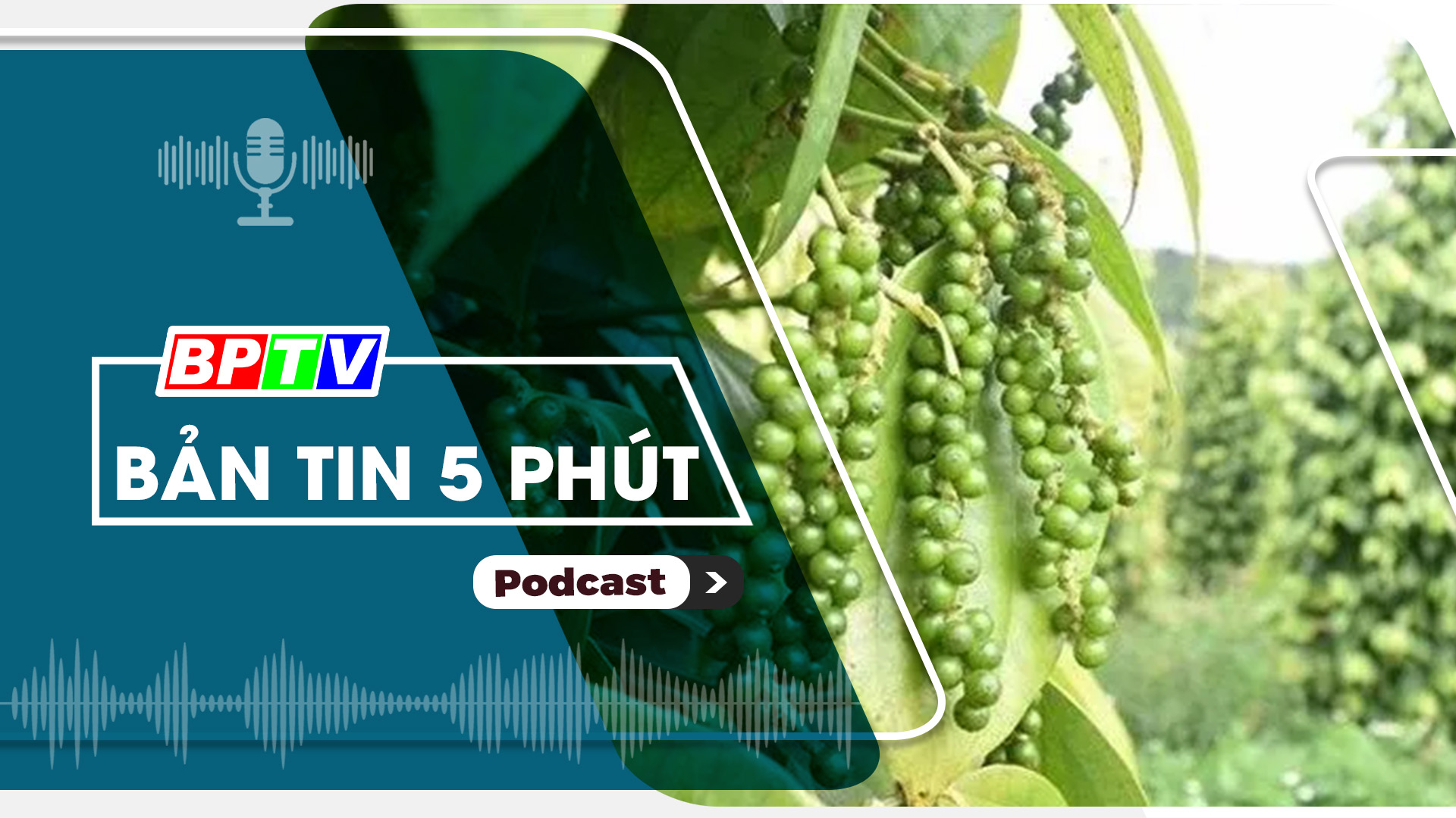5 phút trưa nay 20-1-2025