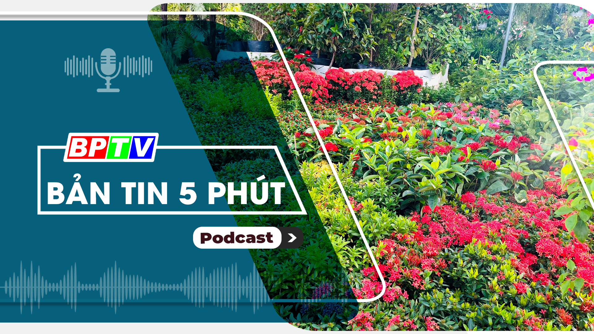 5 phút trưa nay 7-1-2025