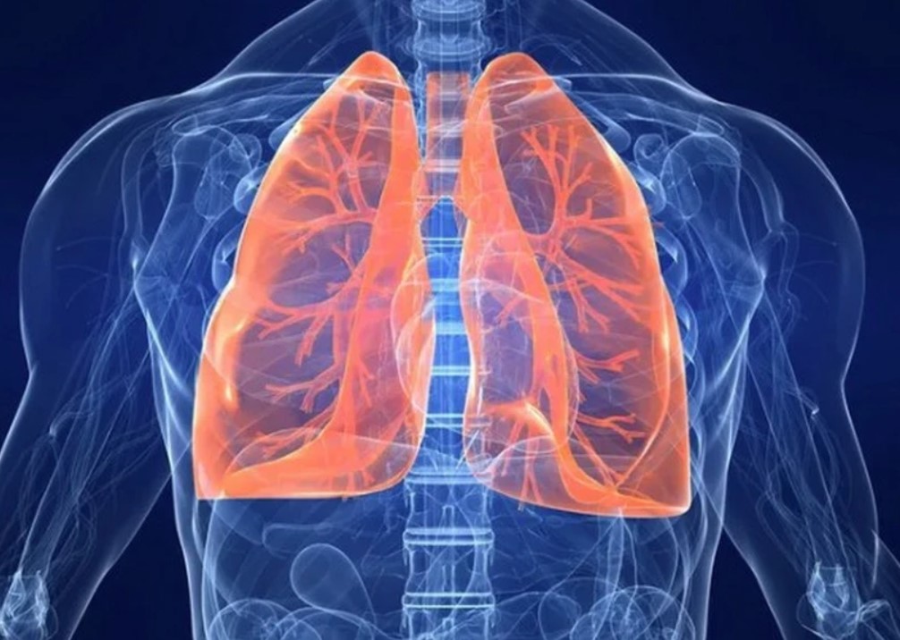 Bệnh viêm phổi do virus HMPV nguy hiểm như thế nào?