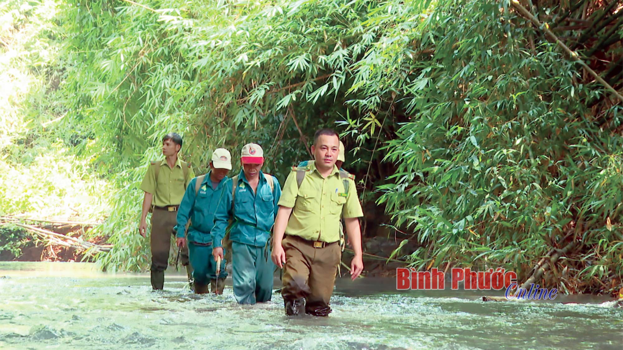 Bình yên cho “lá phổi xanh”