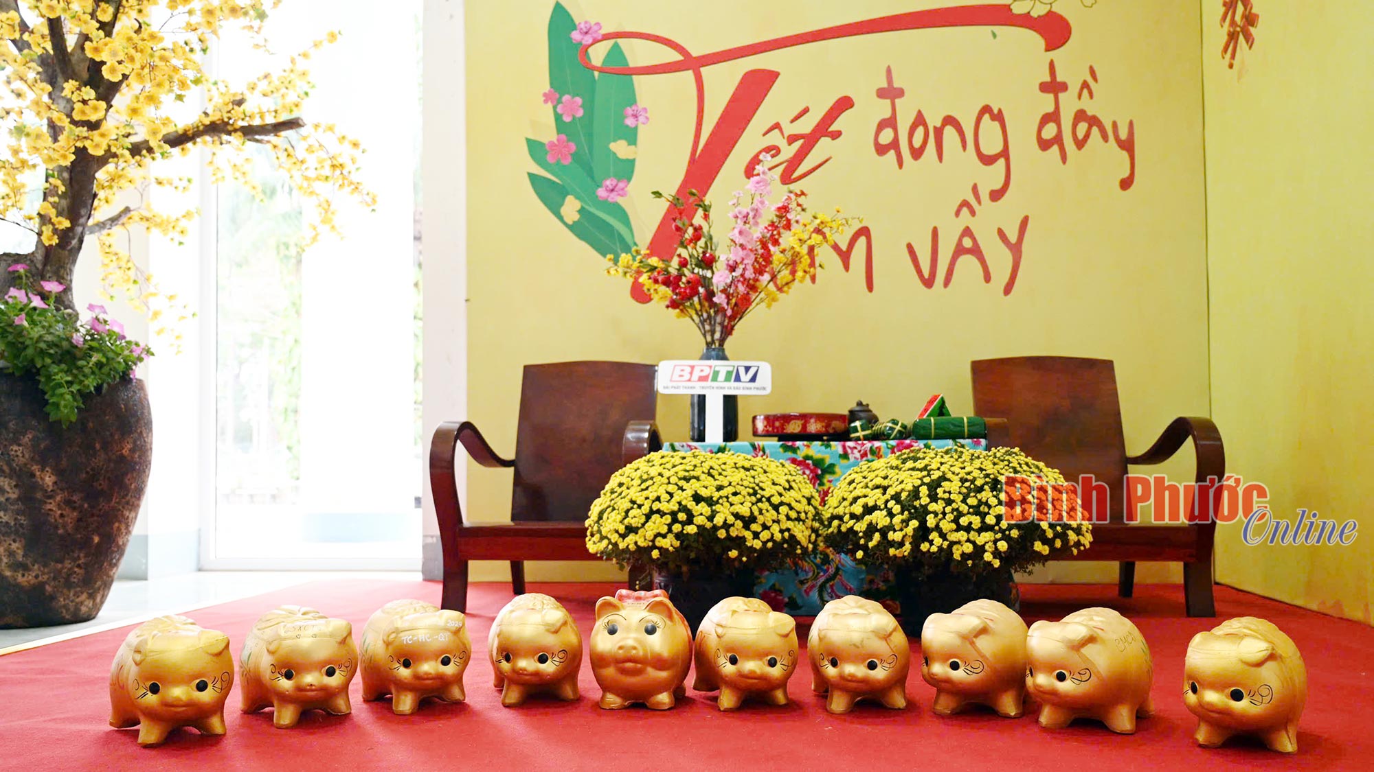 BPTV đập heo đất hỗ trợ các hoàn cảnh khó khăn