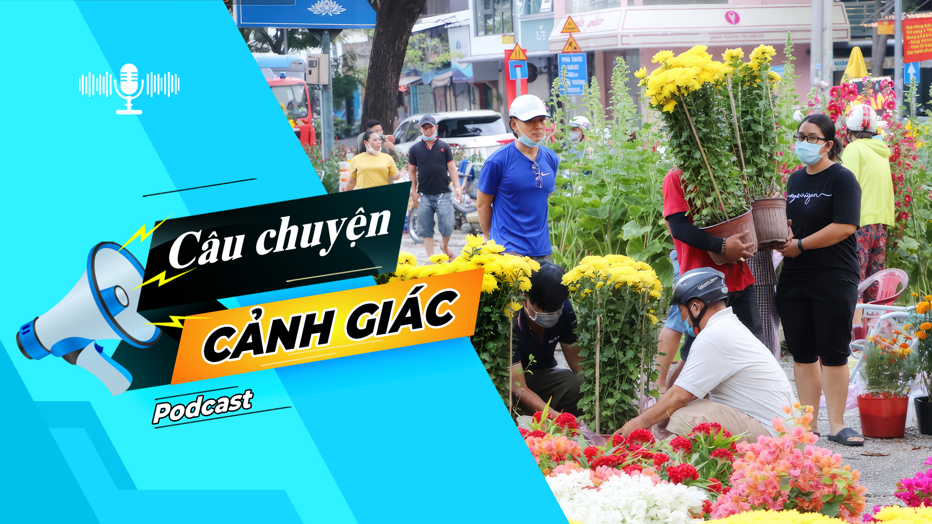 Cảnh giác khi mua hoa, cây kiểng chưng Tết | Câu chuyện cảnh giác