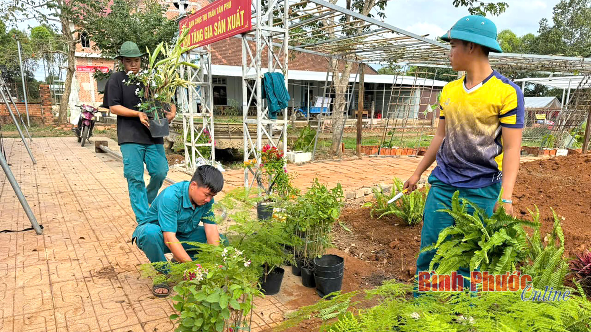 Chung sức xây dựng mô hình không gian xanh