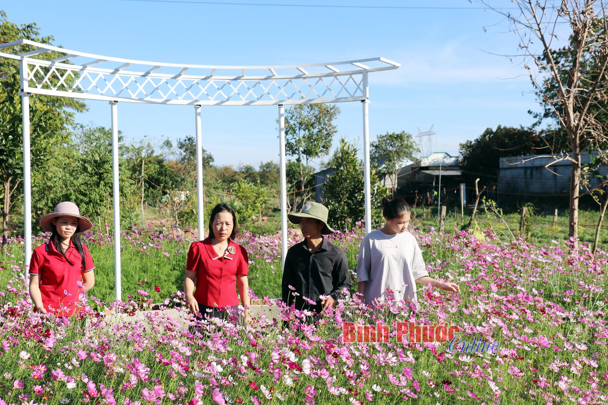Điểm tô sắc xuân