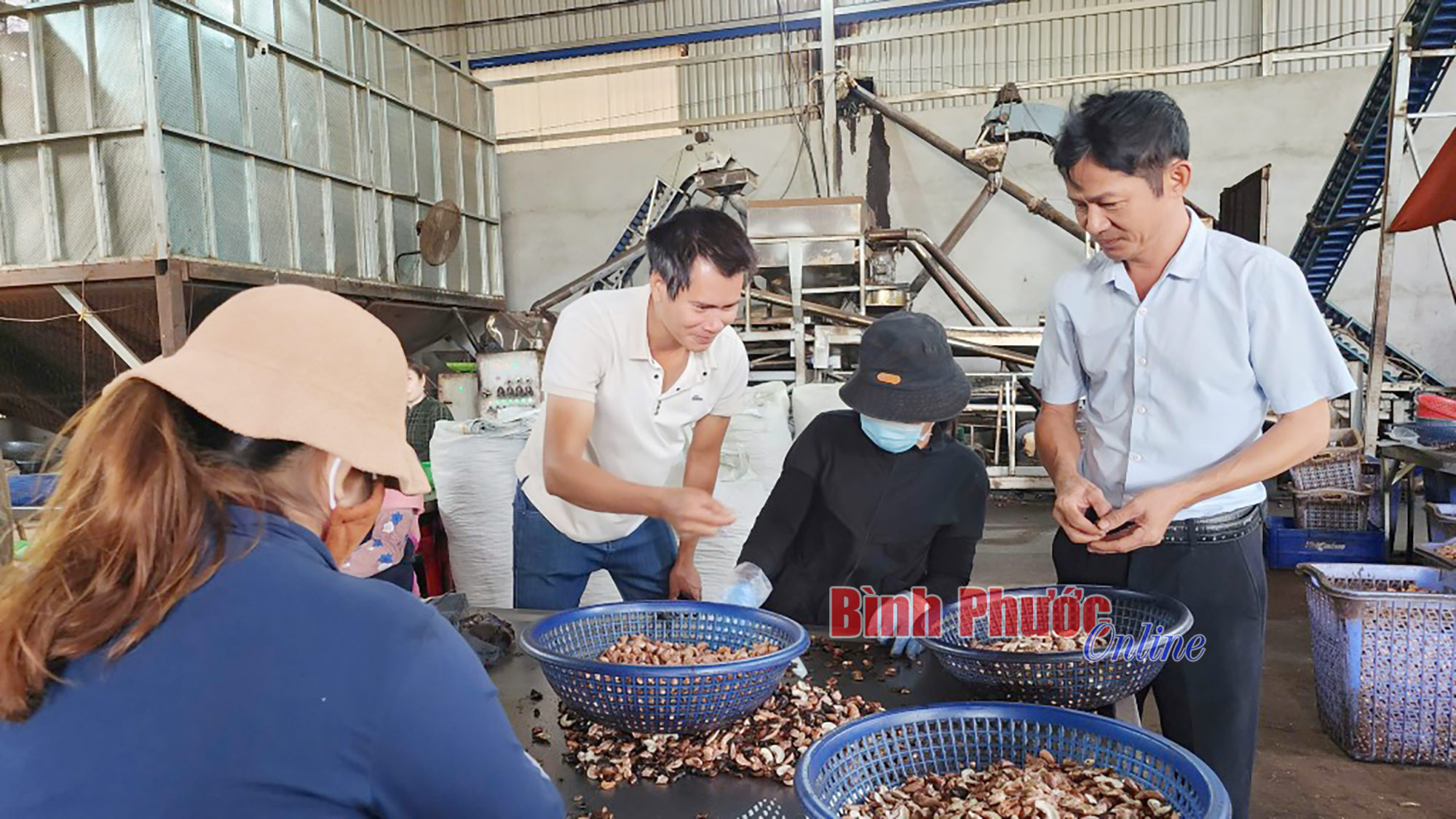 Đổi thay ở Long Hà