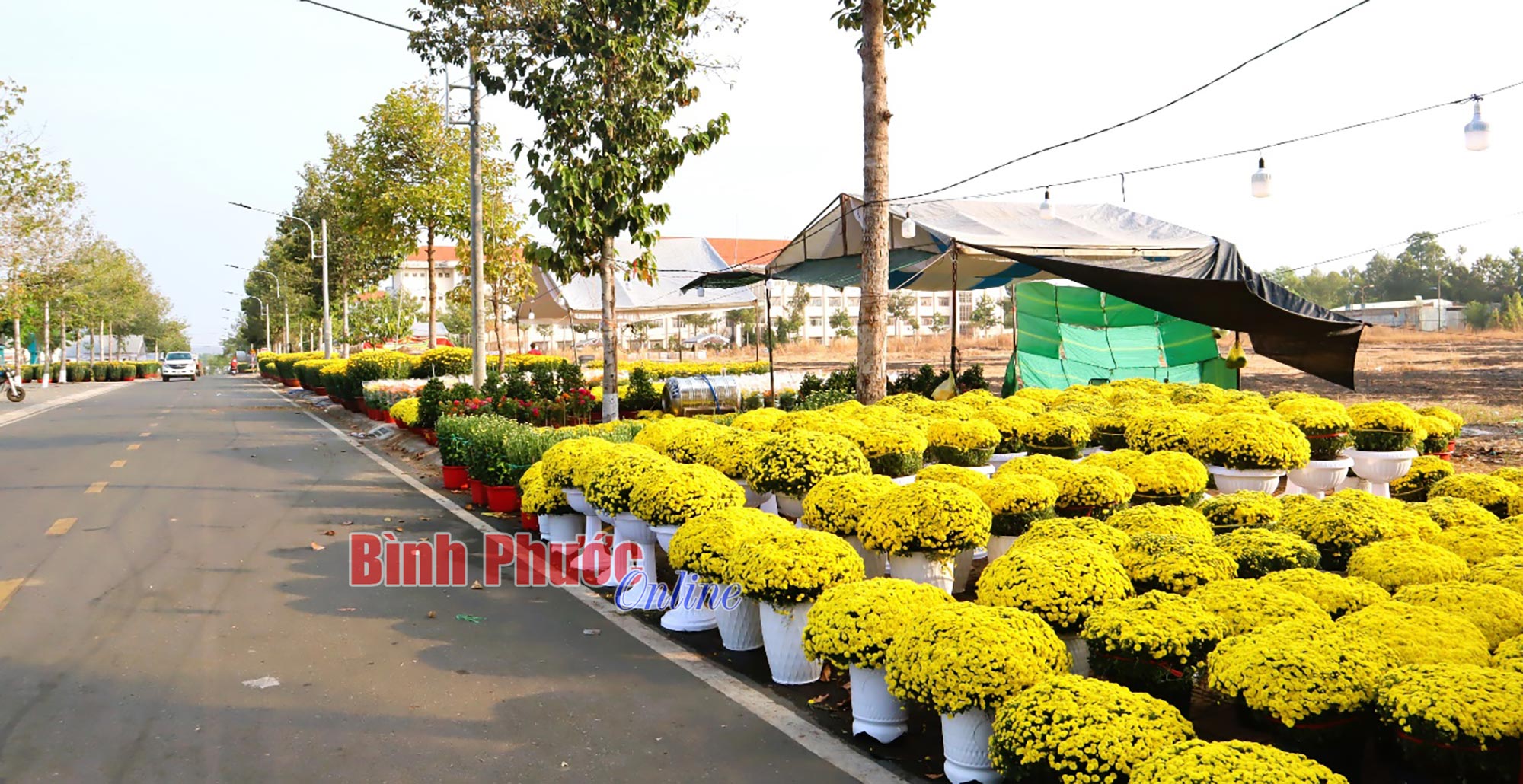 Đồng Xoài: Gần 300 gian hàng đăng ký tham gia Hội chợ hoa xuân Ất Tỵ