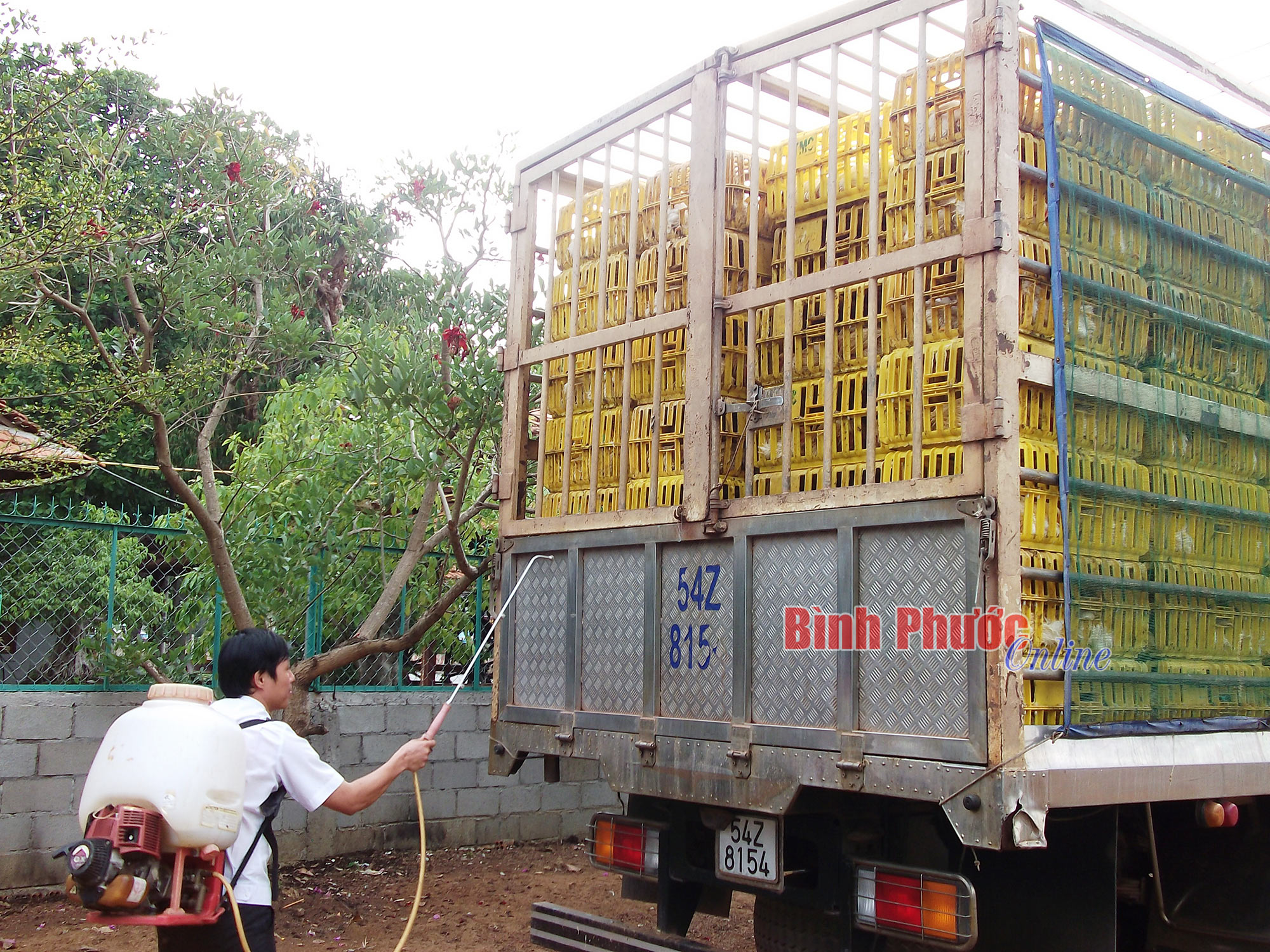 Kiểm soát chặt chẽ động vật, sản phẩm động vật vận chuyển ra, vào tỉnh