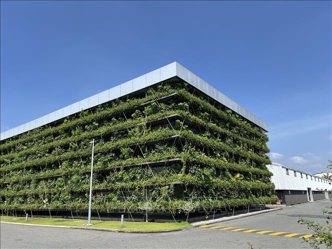 Lối đi mới cho doanh nghiệp Việt