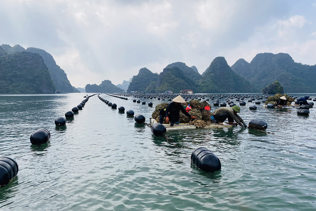 Một thập kỷ tăng trưởng 2 con số