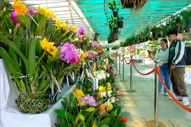 Nhiều hoạt động, chương trình hấp dẫn hút khách dịp Tết Nguyên đán