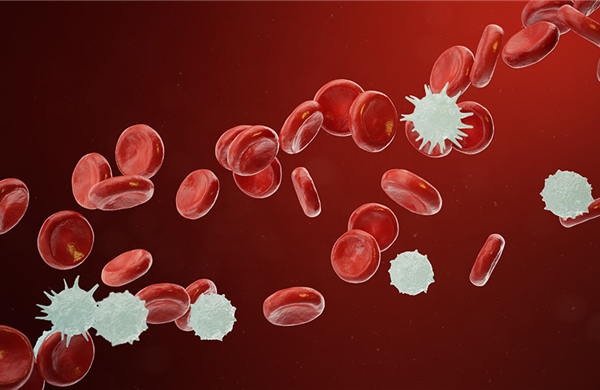 Phương pháp điều trị mới mang lại hy vọng cho bệnh nhân mắc bệnh xơ tủy