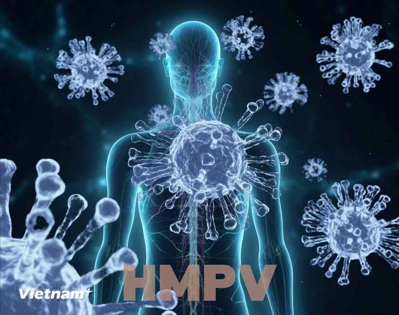 Vì sao virus HMPV không bùng phát thành đại dịch như COVID-19?