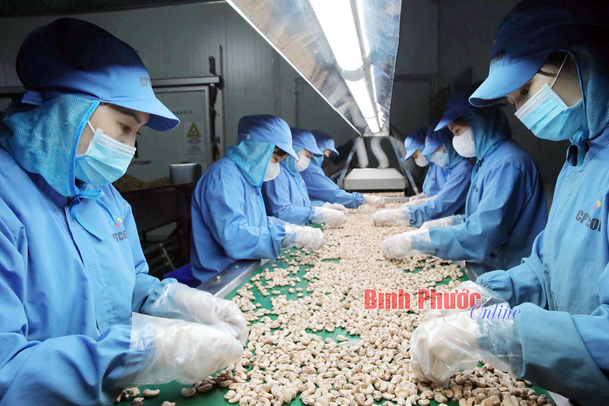 Vị tết, tình quê