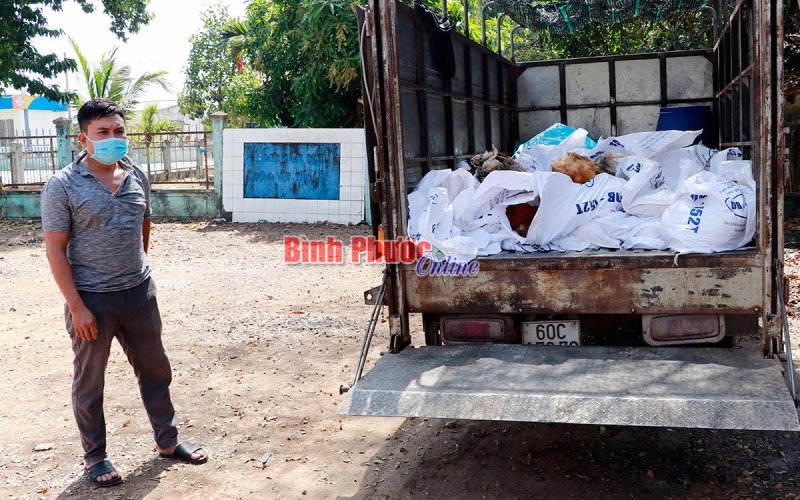 Bắt giữ xe tải vận chuyển gần 400kg gà chết 