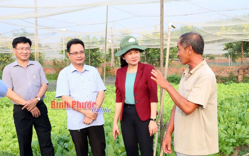 Bí thư Thành ủy Đồng Xoài thăm các mô hình sản xuất nông nghiệp tiêu biểu
