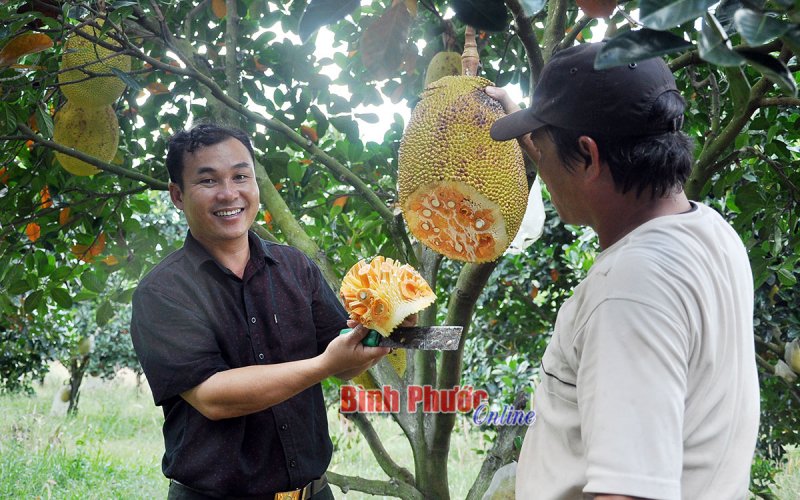 Bù Đốp nâng cao giá trị sản phẩm nông nghiệp