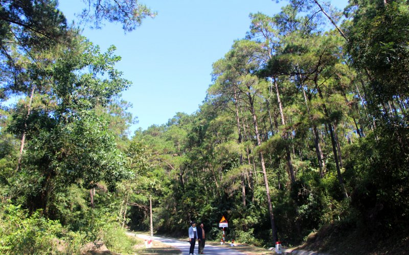 Đón đợi một Safari ở Hạ Long