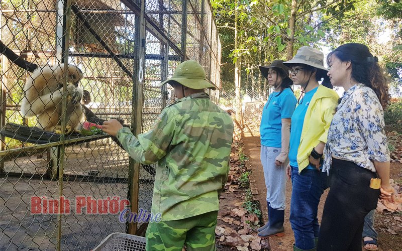 Động vật hoang dã cũng cần được yêu thương