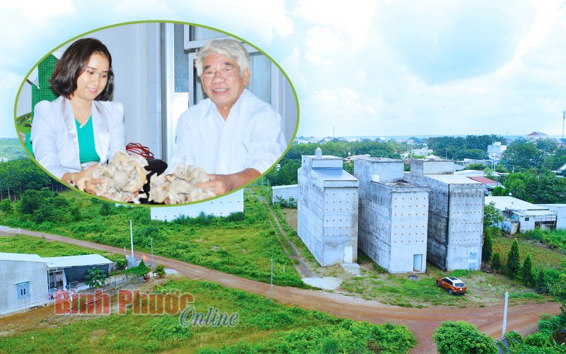 Hành trình đưa chim biển lên rừng