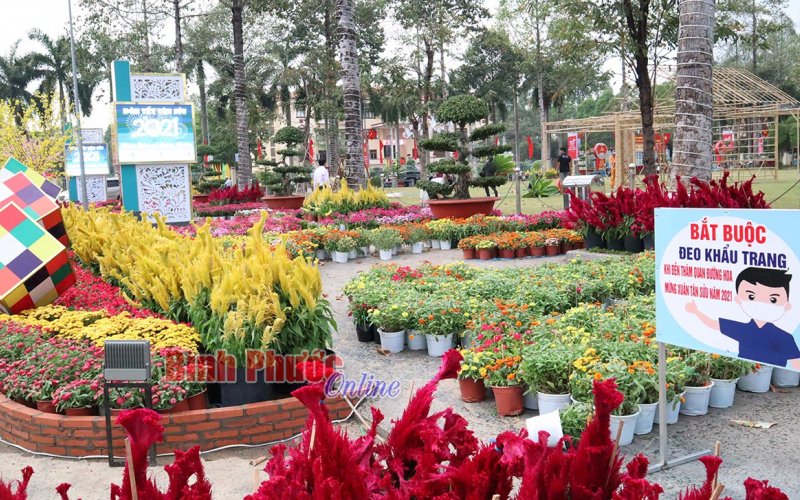 Không đeo khẩu trang, không được vào Đường hoa xuân Tân Sửu 2021