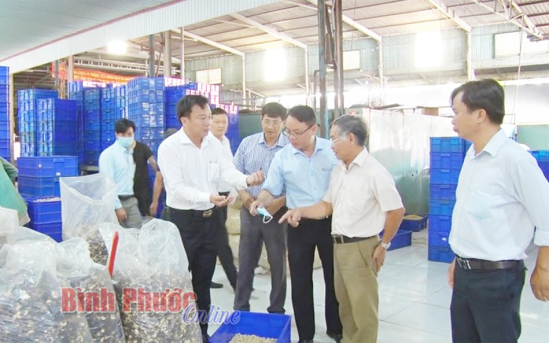 100% công nhân, người lao động ở Bù Đốp đã trở lại làm việc