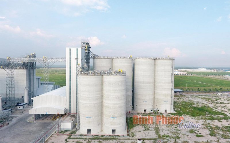 Lội ngược dòng Covid-19