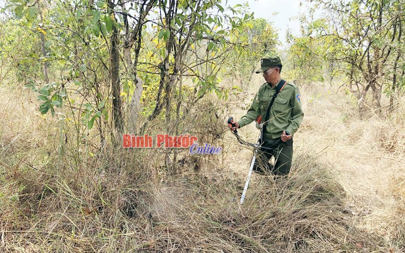 Nhiều giải pháp hiệu quả để bảo vệ rừng 