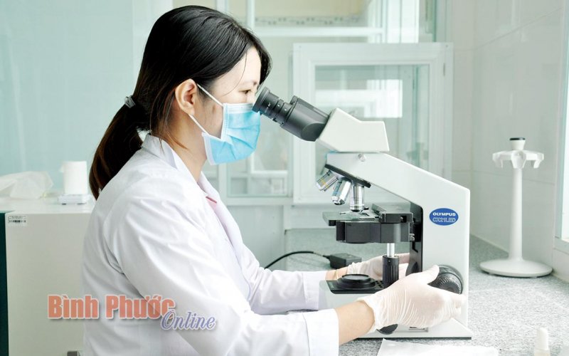 Những trái tim hồng