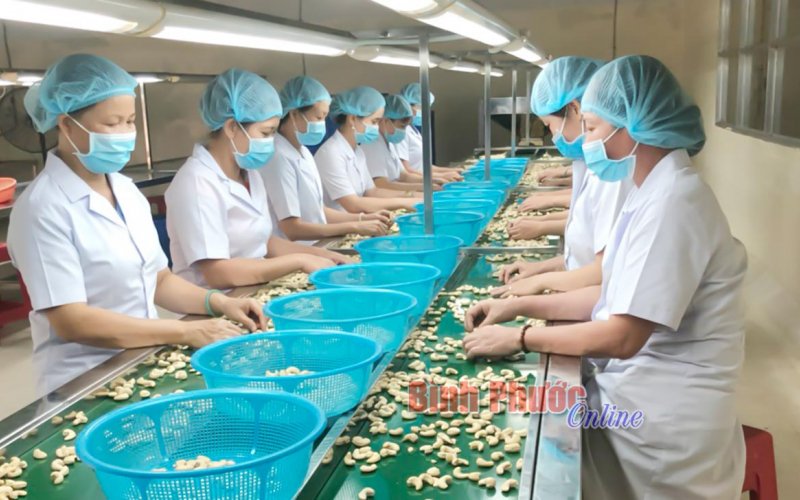 Quan điểm của Đảng về kinh tế tư nhân