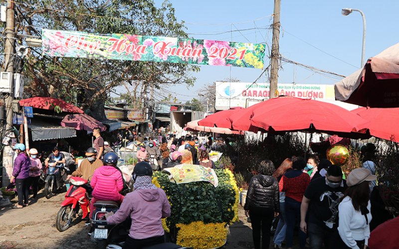 Tết Việt trong mắt Đại sứ các nước