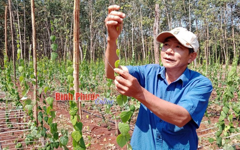 Tư duy mới từ nông thôn mới