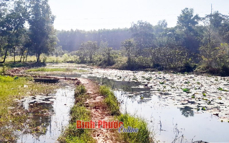 Bình Phước: Đi bắt ốc, 2 cháu bé bị đuối nước